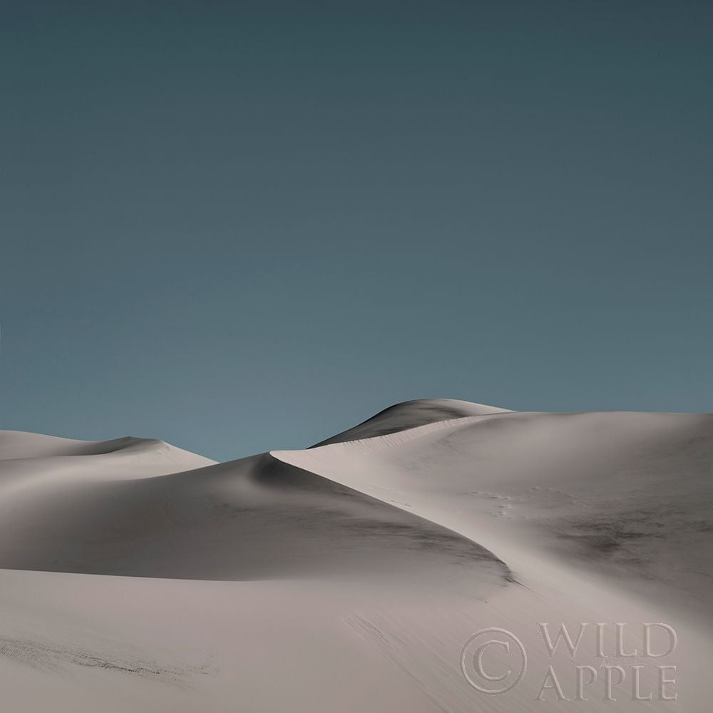 Sand Dunes II Poster Print by Andre Eichman-VARPDX57669 Image 1