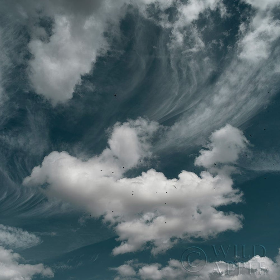 Clouds IV Poster Print by Andre Eichman-VARPDX57666 Image 1