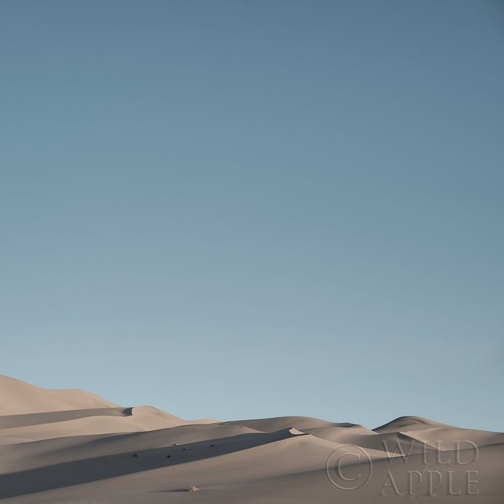 Sand Dunes III Poster Print by Andre Eichman-VARPDX57670 Image 1