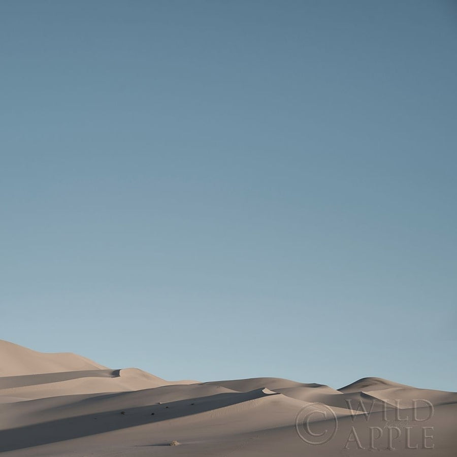 Sand Dunes III Poster Print by Andre Eichman-VARPDX57670 Image 1