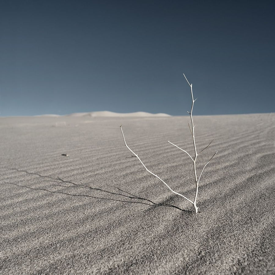 Sand Dunes I Poster Print by Andre Eichman-VARPDX57668 Image 1