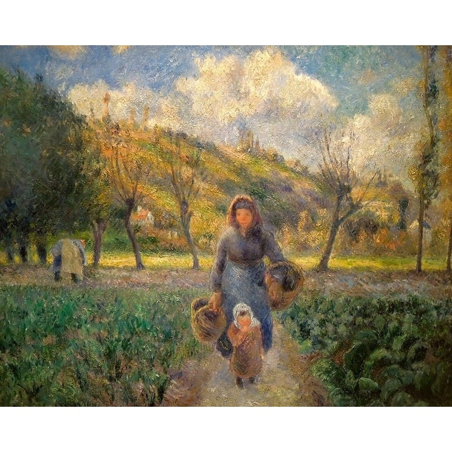 In the Vegetable Garden by Camille Pissarro-VARPDX57799 Image 1