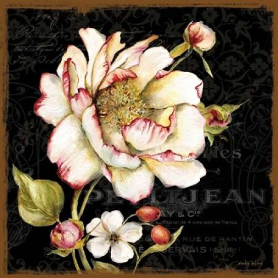 Dusk Flower 1 Poster Print by Studio Rofino-VARPDX577ROF1028 Image 1