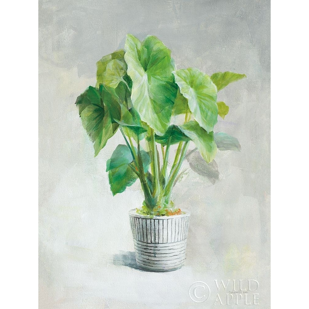 Greenhouse Palm I Poster Print by Danhui Nai-VARPDX57928 Image 1