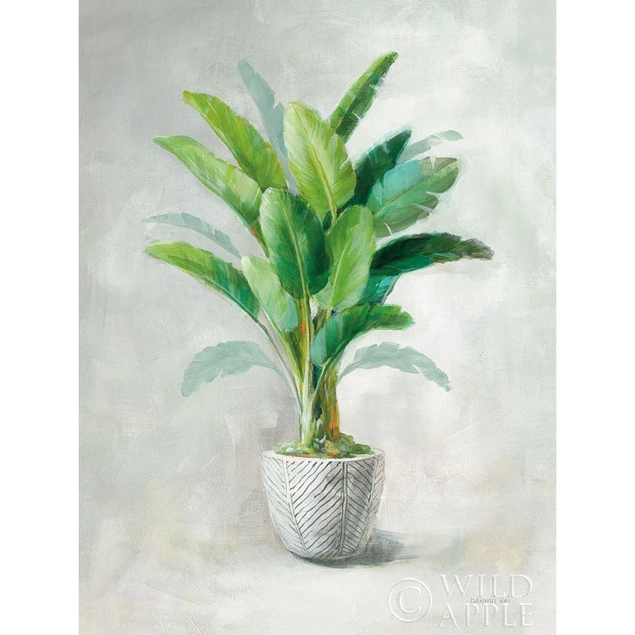 Greenhouse Palm II Poster Print by Danhui Nai-VARPDX57929 Image 1