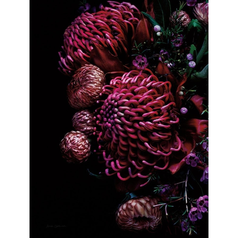 Waratah Bouquet Poster Print by Elise Catterall-VARPDX58052 Image 1