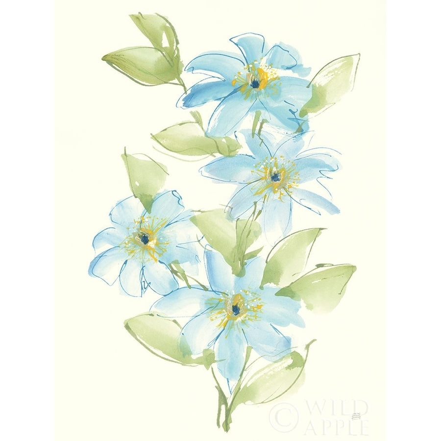 Clematis Bouquet II Poster Print by Chris Paschke-VARPDX58337 Image 1