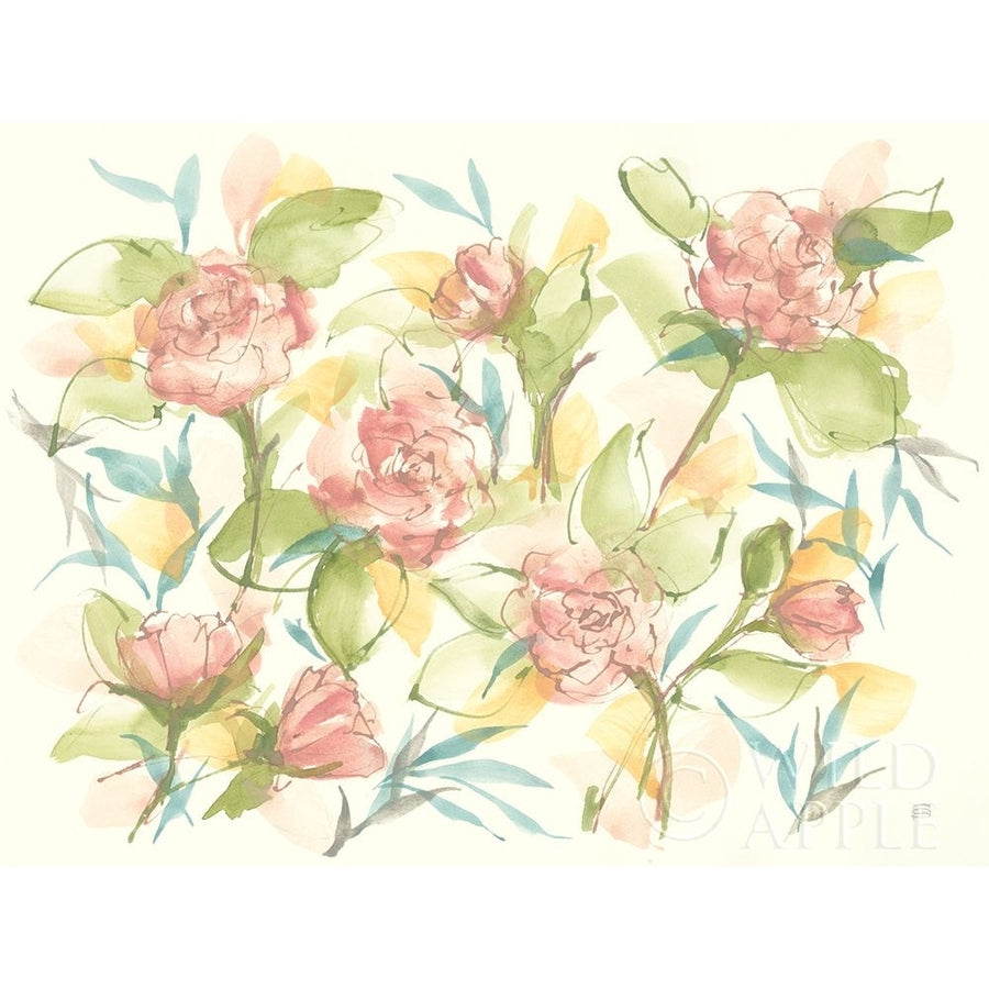 Blush Camellias Poster Print by Chris Paschke-VARPDX58344 Image 1