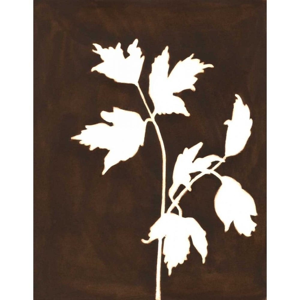 Four Seasons Foliage IV Poster Print - Megan Meagher-VARPDX58461Z Image 1