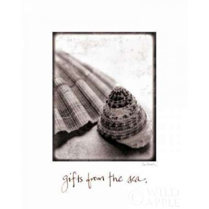 Gifts from the Sea Poster Print by Sue Schlabach-VARPDX5846 Image 2