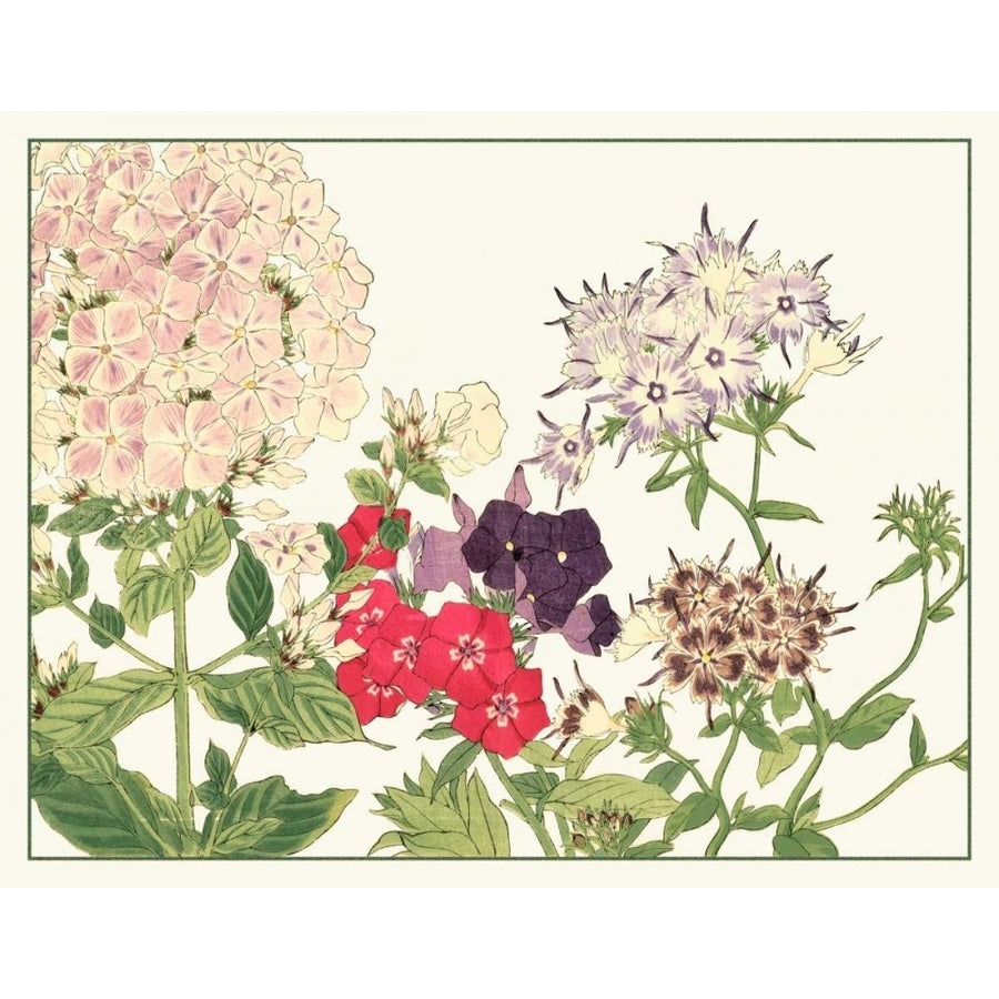 Japanese Flower Garden II Poster Print - Tanigami Konan-VARPDX58472Z Image 1