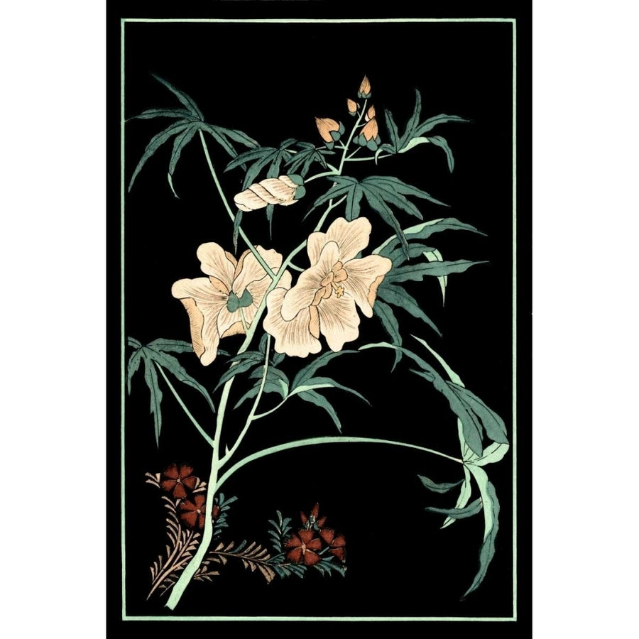 Midnight Floral II Poster Print - Studio Vision-VARPDX58545Z Image 1