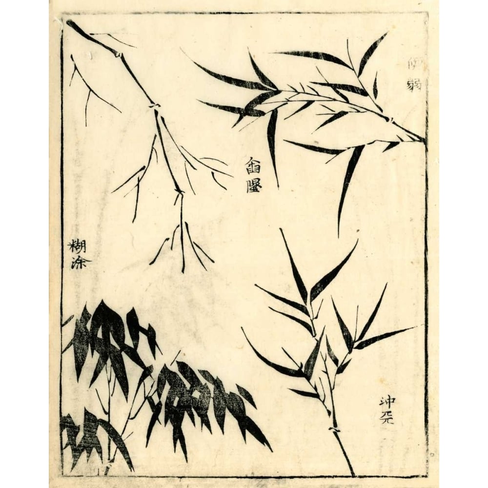 Bamboo Woodblock I Poster Print - Studio Vision-VARPDX58546Z Image 1