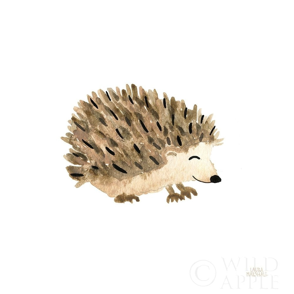 Woodland Whimsy Hedgehog Poster Print by Laura Marshall-VARPDX58882 Image 1