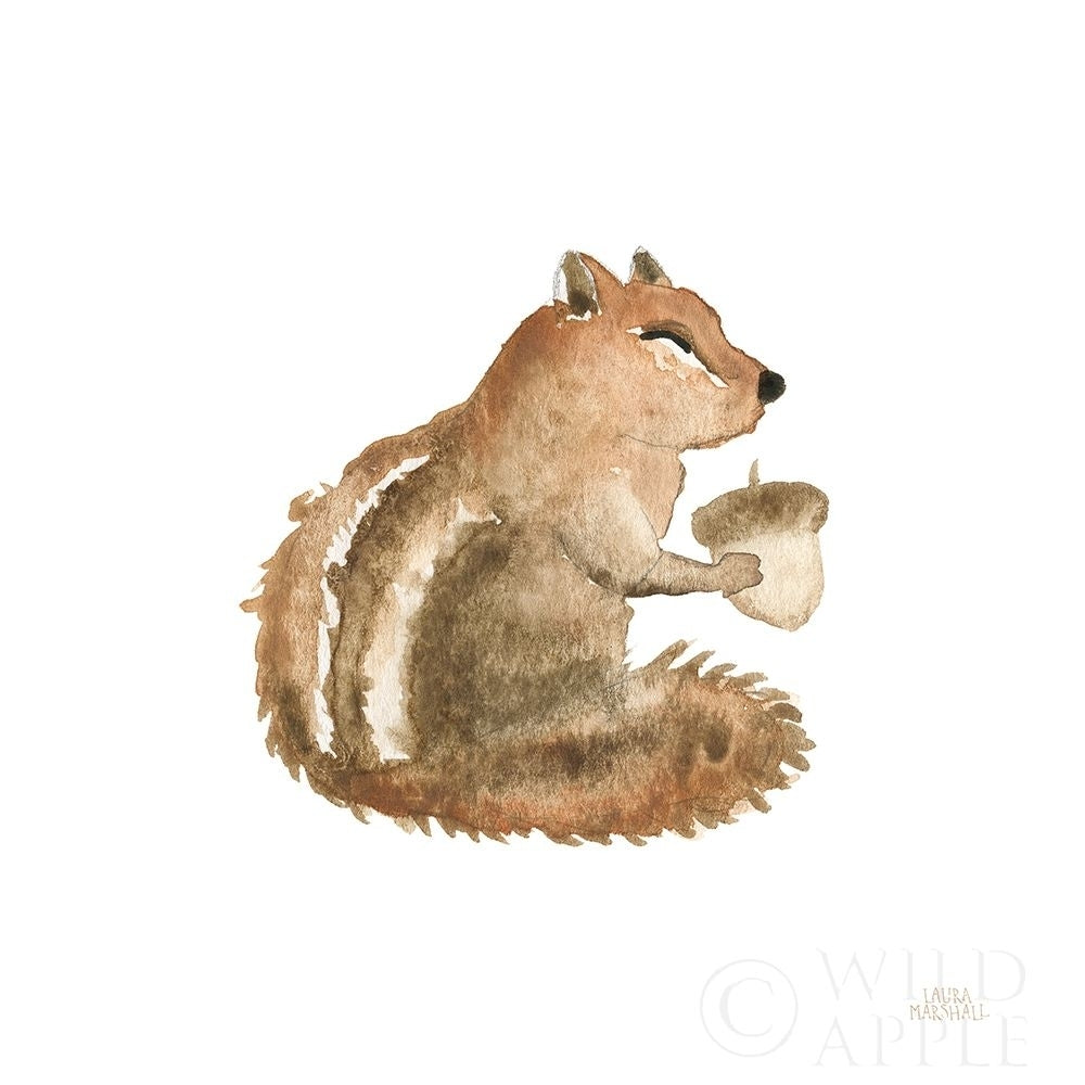 Woodland Whimsy Squirrel Poster Print by Laura Marshall-VARPDX58879 Image 1