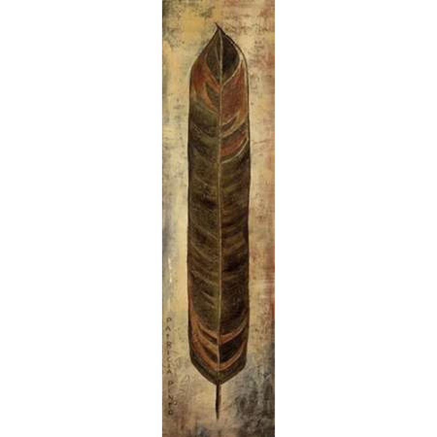 La Pluma II Poster Print by Patricia Pinto-VARPDX5890 Image 1