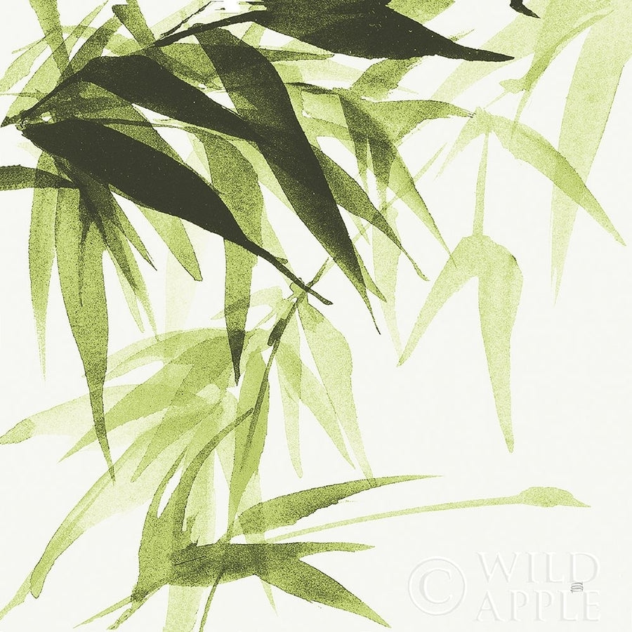 Bamboo IV Green Poster Print by Chris Paschke-VARPDX58946 Image 1