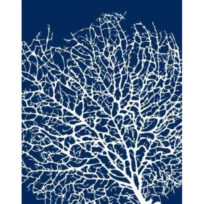 Navy Coral I Poster Print by Sabine Berg-VARPDX5949 Image 2