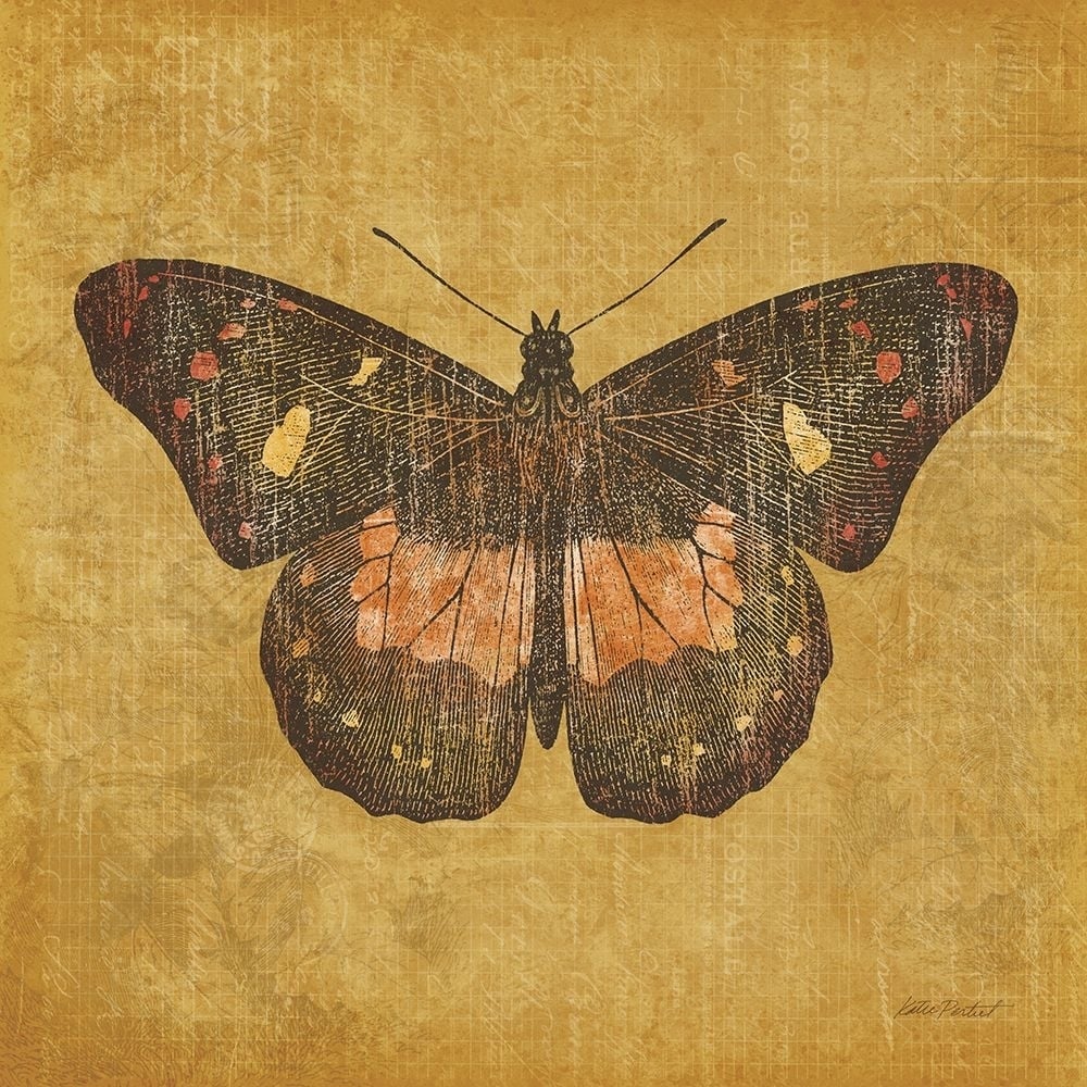 Ochre Butterfly Poster Print - Katie Pertiet-VARPDX5957 Image 1