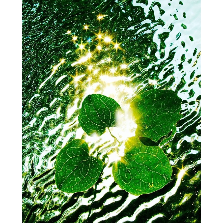 Floating Light Poster Print - Leonard Morris-VARPDX59641Z Image 1