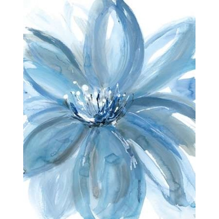 Water Petals Poster Print by Rebecca Meyers-VARPDX5970 Image 1