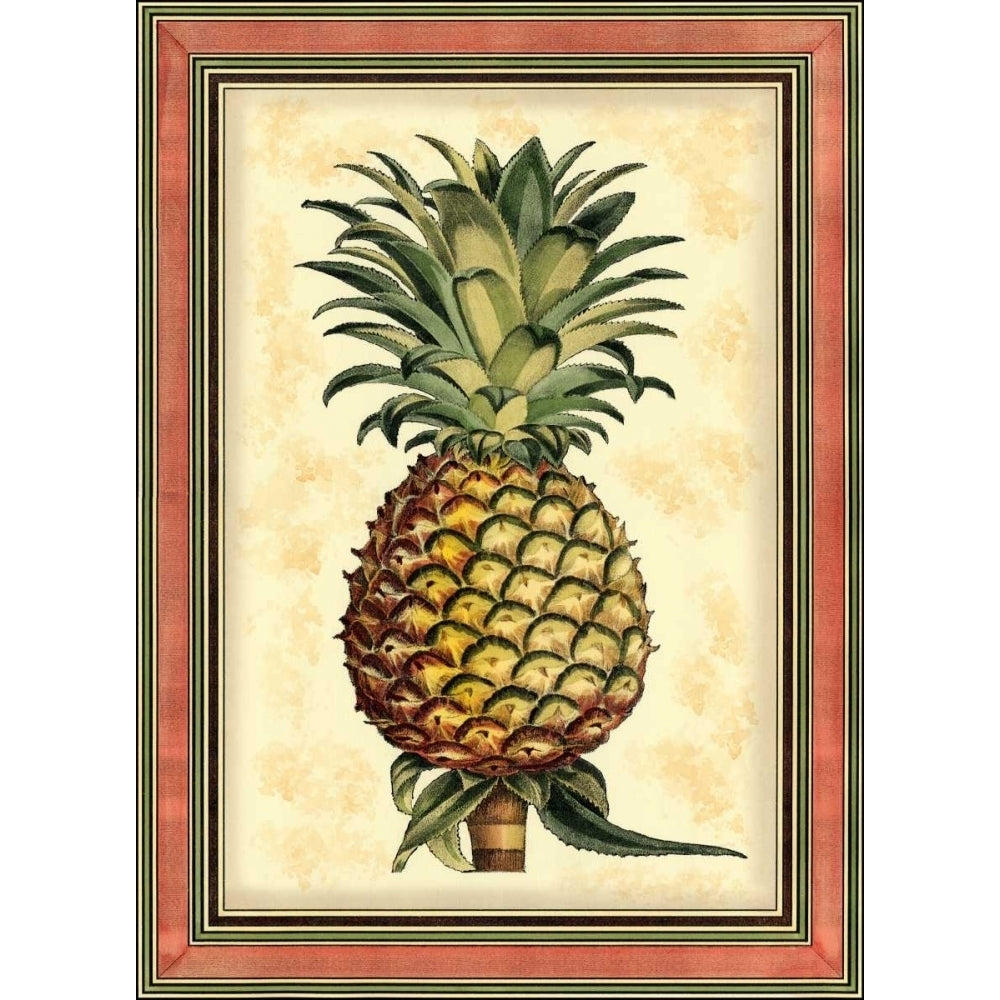 Pineapple Splendor II Poster Print - Studio Vision-VARPDX59761Z Image 1