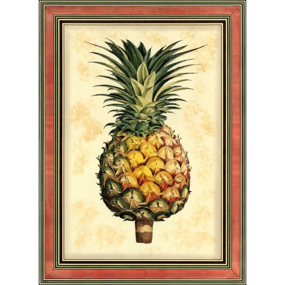 Pineapple Splendor I Poster Print - Studio Vision-VARPDX59760Z Image 1