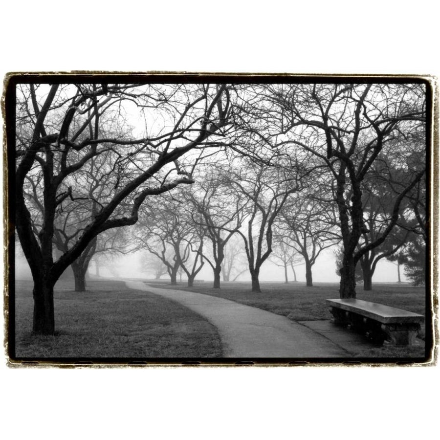 Foggy Morning Walk Poster Print - Laura DeNardo-VARPDX60003Z Image 1