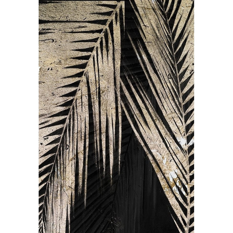 Natural Palms on Black II Poster Print by Patricia Pinto-VARPDX6004DG Image 1