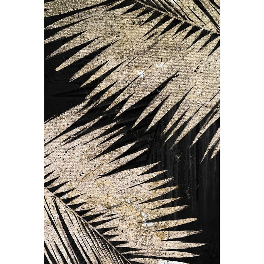 Natural Palms on Black III Poster Print by Patricia Pinto-VARPDX6004DH Image 1