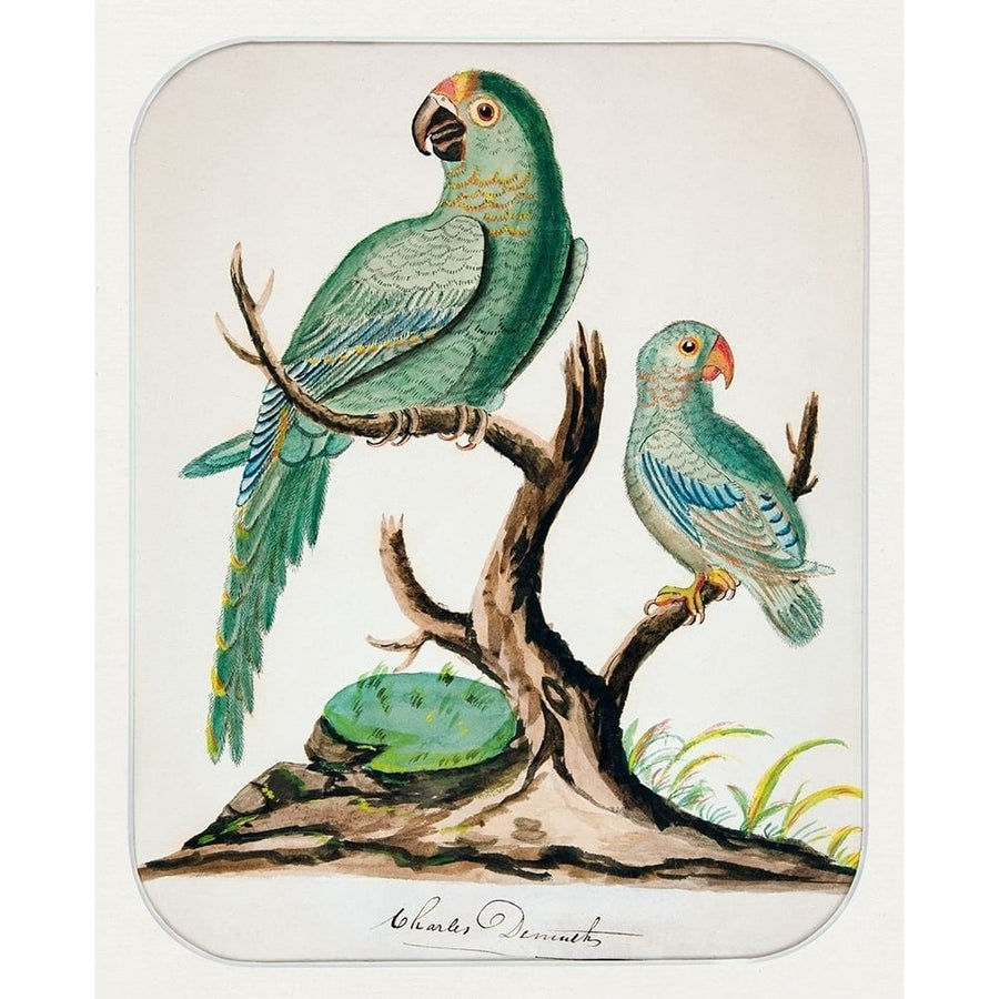 Two Parrots on a Barren Tree by Charles Demuth-VARPDX60335 Image 1