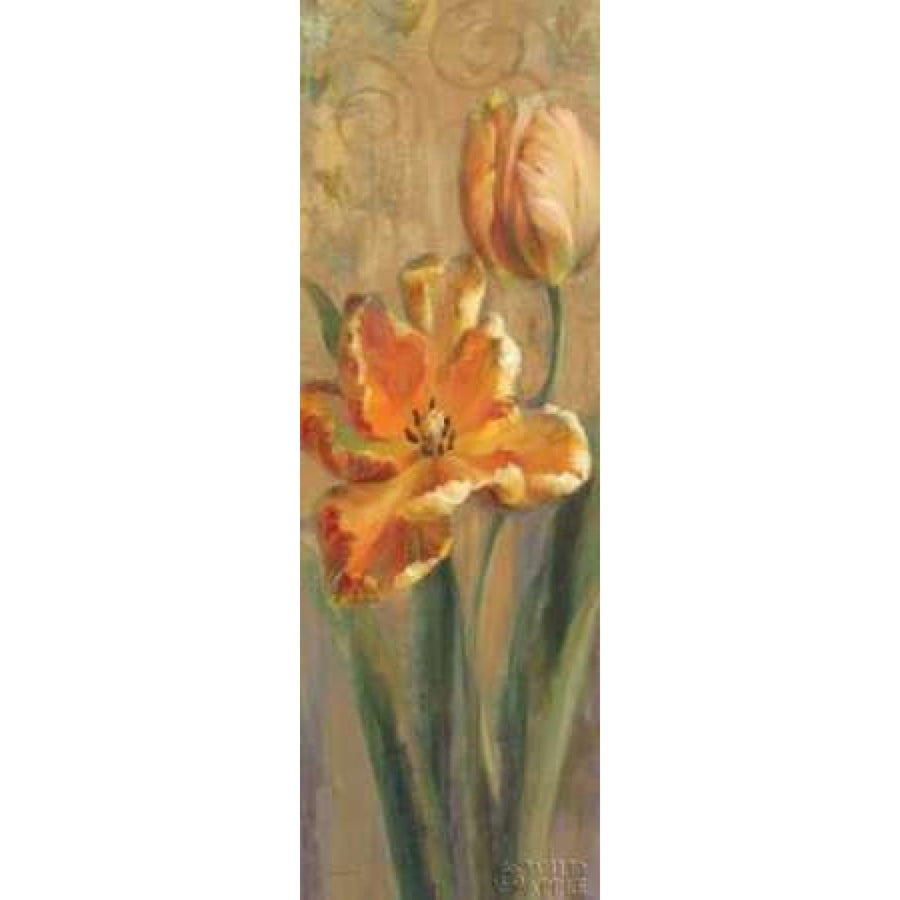 Parrot Tulips on Gold I Poster Print by Danhui Nai-VARPDX6042 Image 1