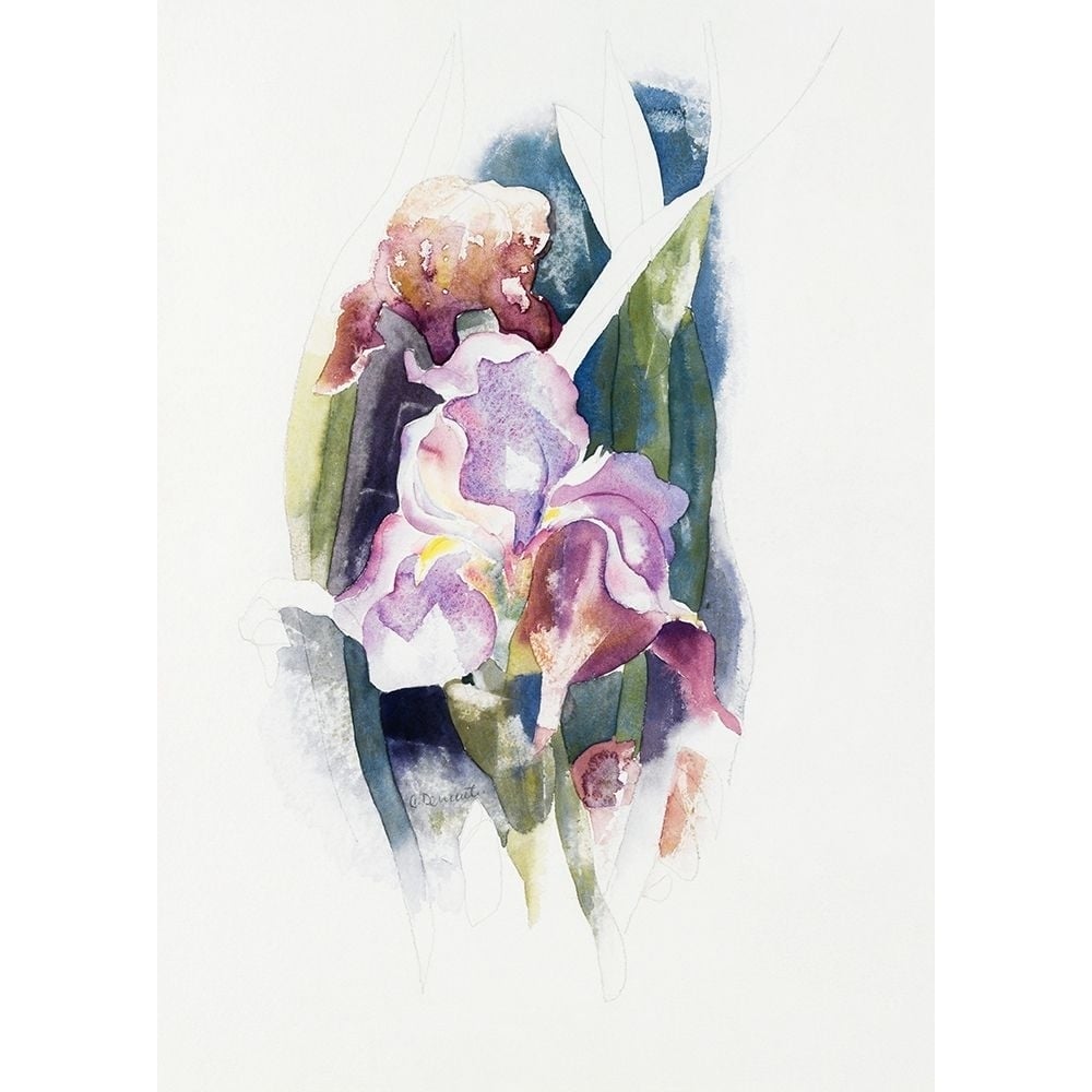 Purple Iris by Charles Demuth-VARPDX60395 Image 1