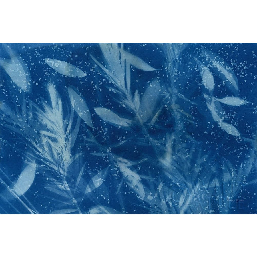 Cyanotype Tropical VII Poster Print by Nancy Green-VARPDX60518 Image 1