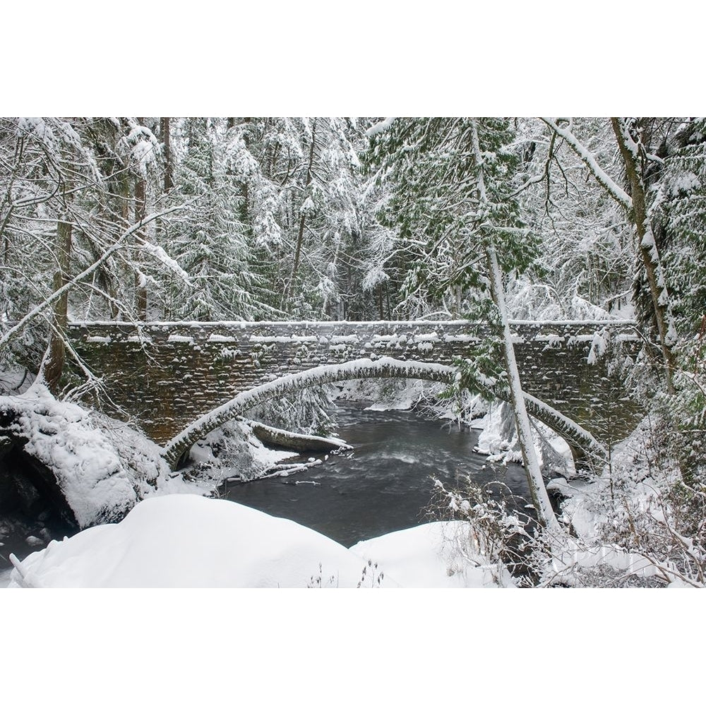 Whatcom Creek Bridge Poster Print by Alan Majchrowicz-VARPDX60628 Image 1