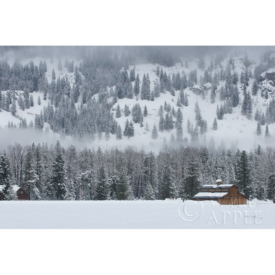 Methow Valley Barn Poster Print by Alan Majchrowicz-VARPDX60629 Image 1