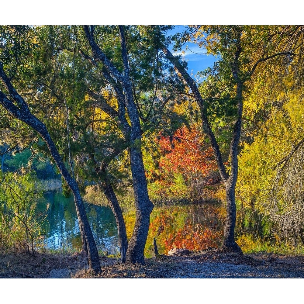 Inks Lake-Inks Lake State Park-Texas by Tim Fitzharris-VARPDX60665 Image 1