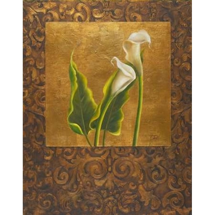 Calla Lily with Arabesque II Poster Print by Patricia Pinto-VARPDX6066 Image 1