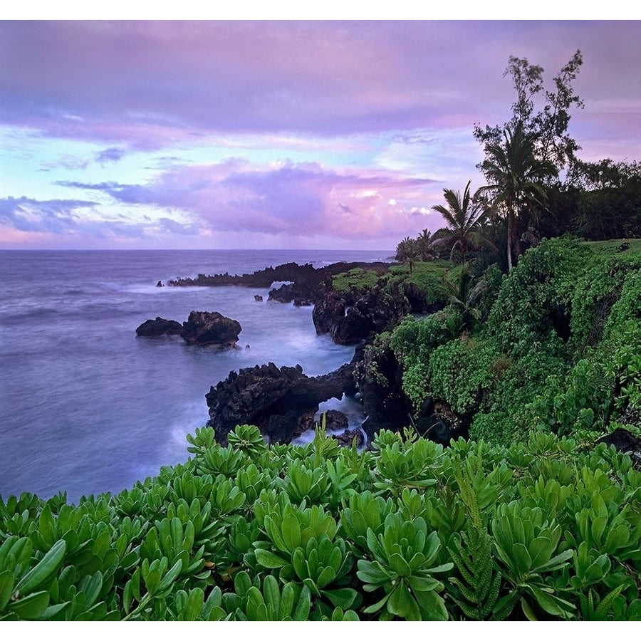 Hana Coast Maui by Tim Fitzharris-VARPDX60694 Image 1