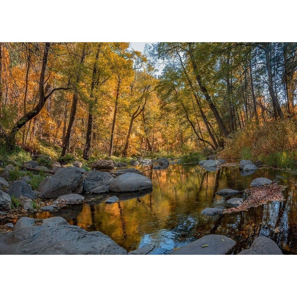 Oak Creek near Sedona-Arizona-USA by Tim Fitzharris-VARPDX60853 Image 1