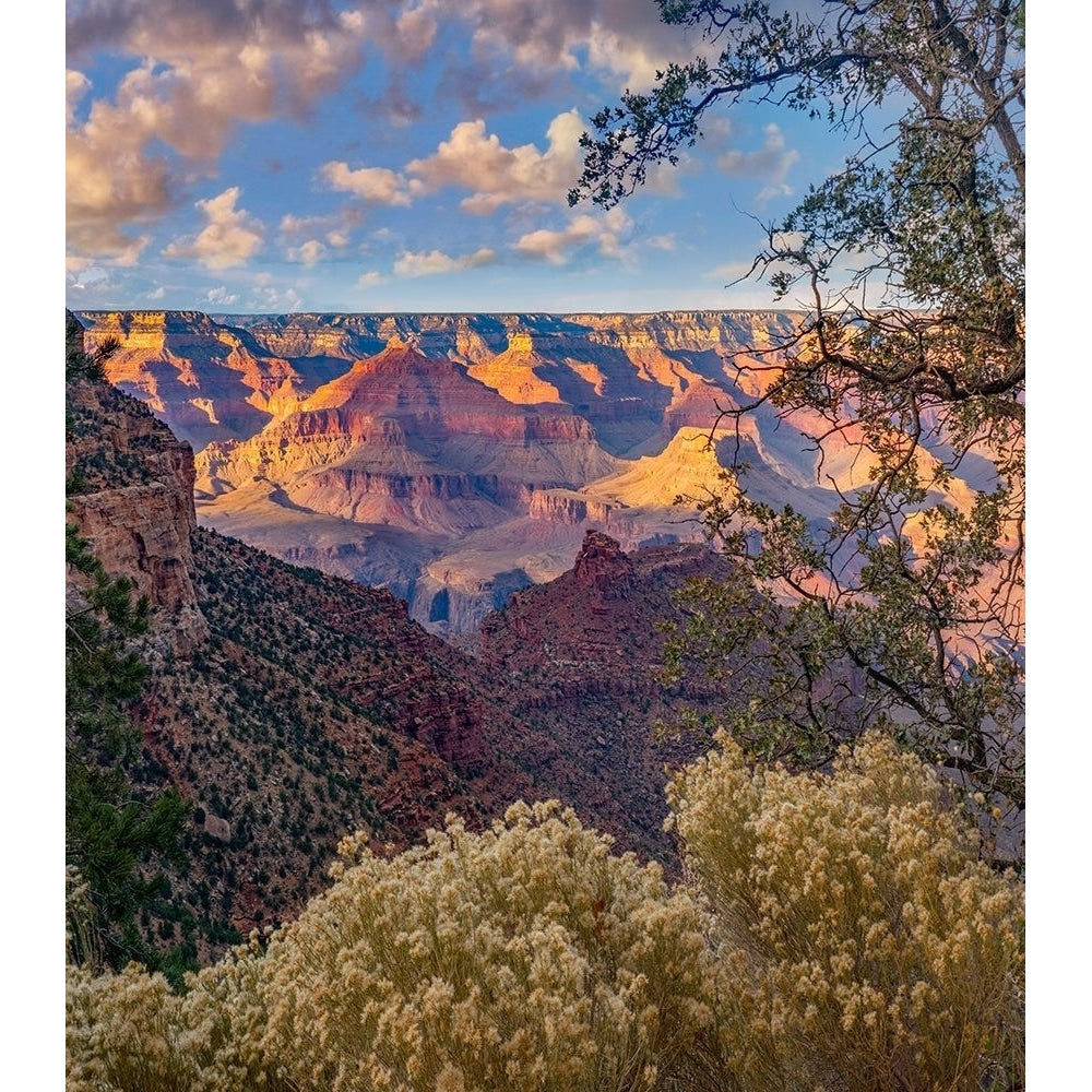 South Rim-Grand Canyon National Park-Arizona USA by Tim Fitzharris-VARPDX60882 Image 1