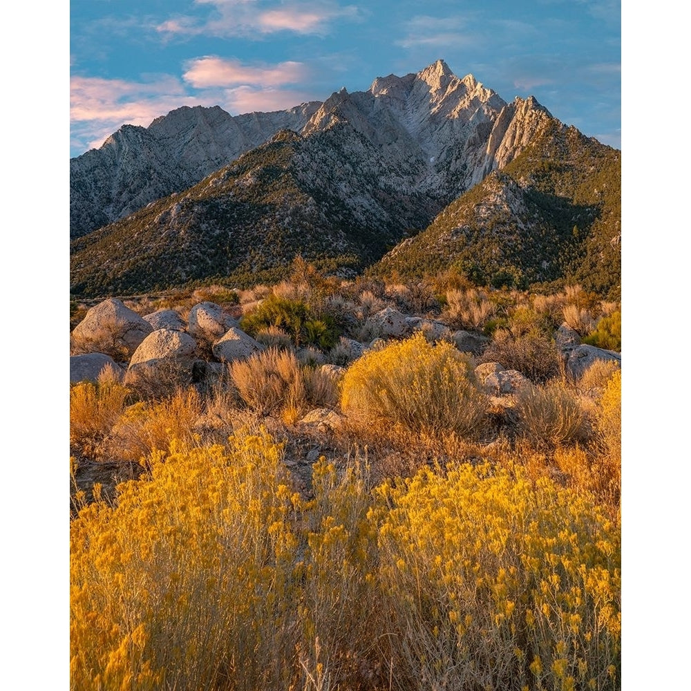 Lone Pine Peak-Eastern Sierra-California-USA by Tim Fitzharris-VARPDX60888 Image 1