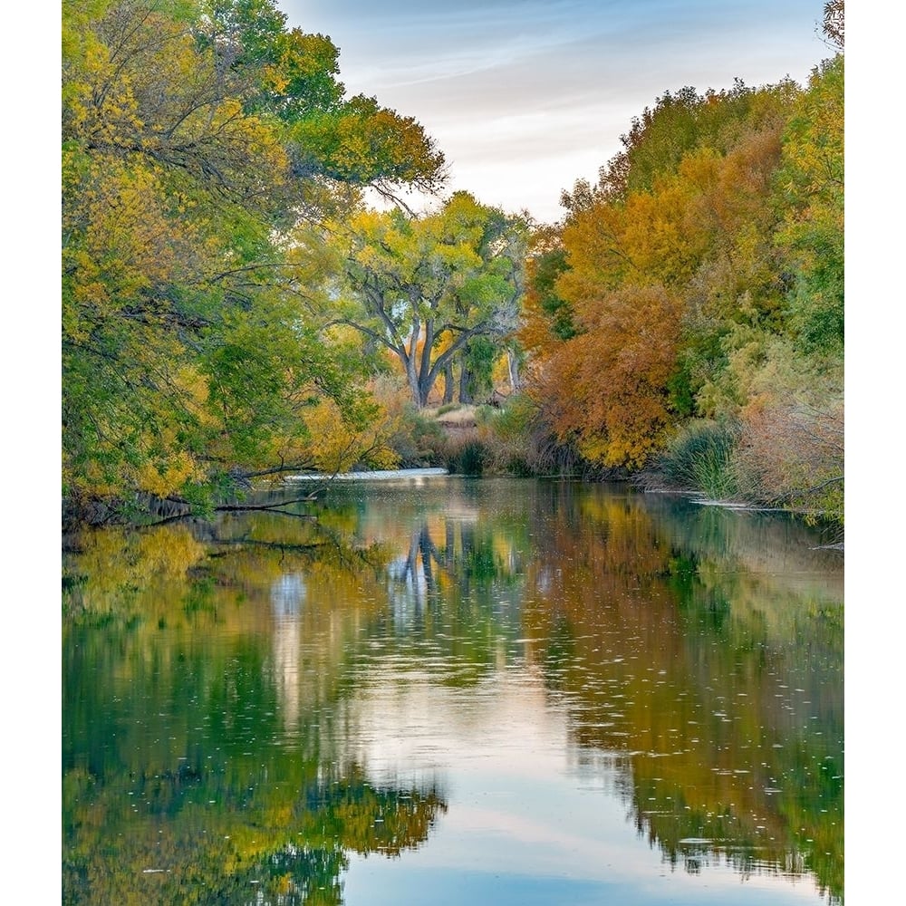 Verde River near Camp Verde-Arizona-USA by Tim Fitzharris-VARPDX60902 Image 1