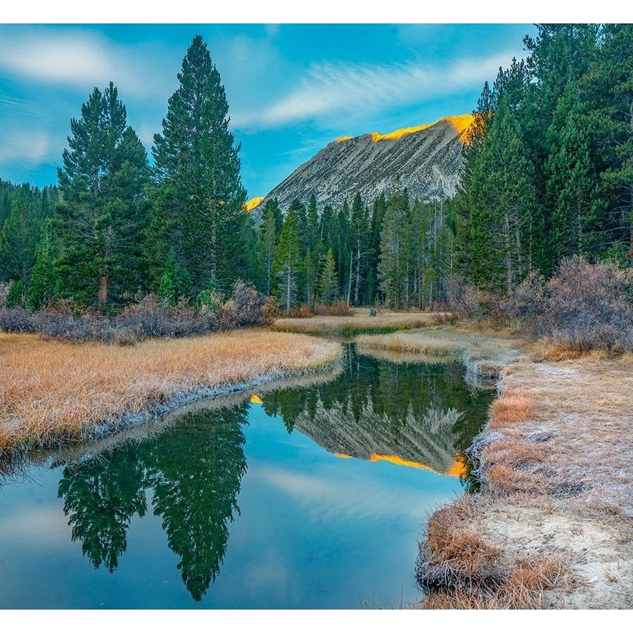 Rock Creek. Inyo National Forest-California-USA by Tim Fitzharris-VARPDX60917 Image 1