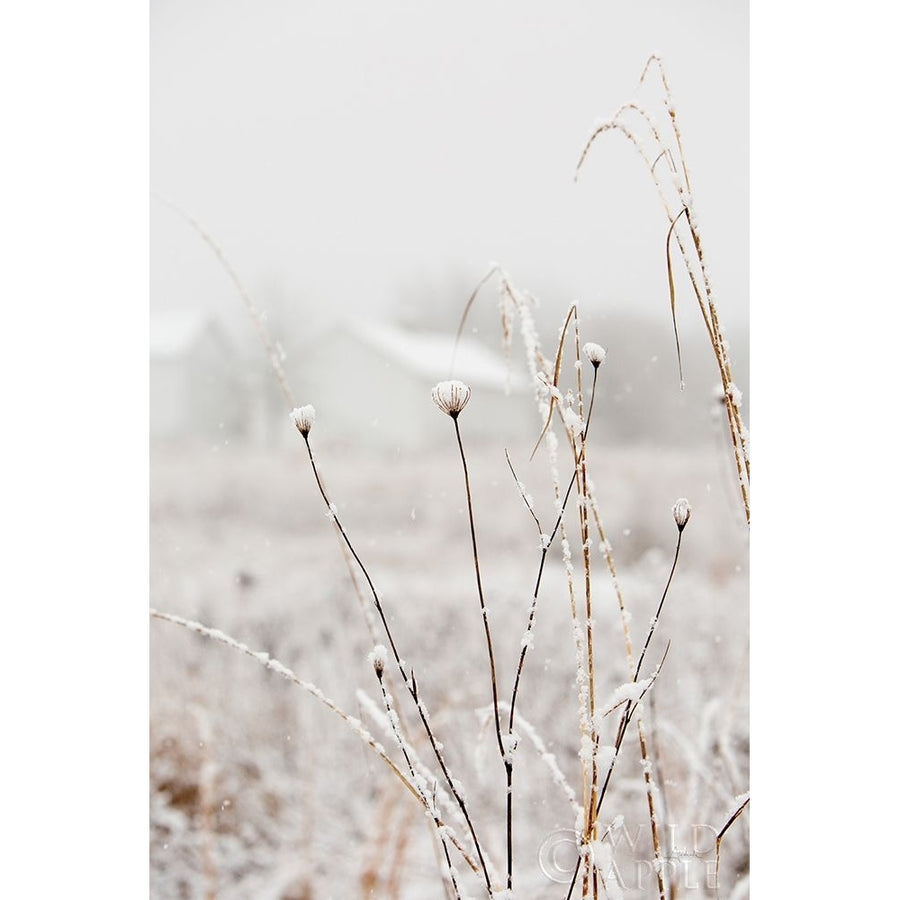 Early Snow Poster Print by Aledanda Aledanda-VARPDX60995 Image 1