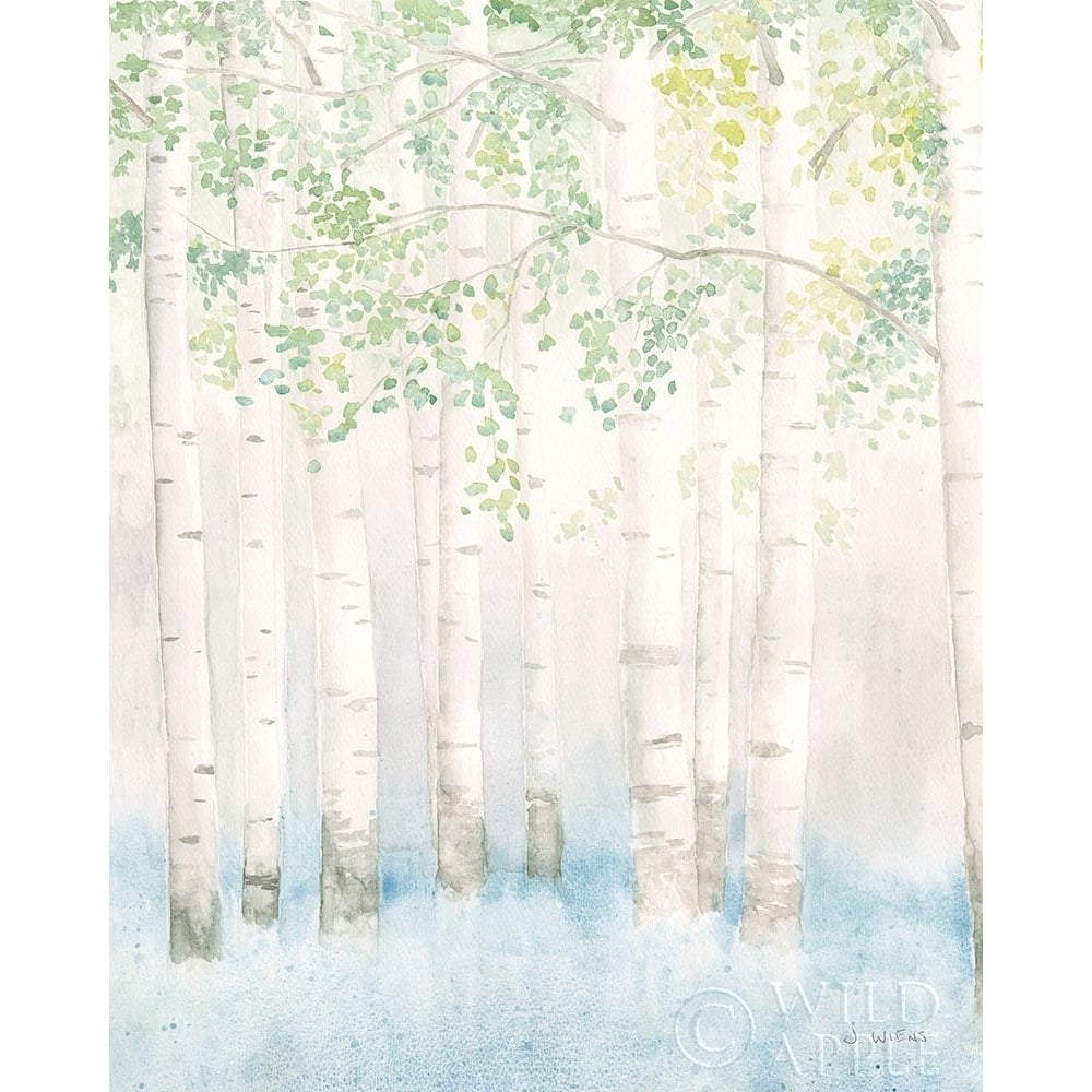 Soft Birches II Poster Print by James Wiens-VARPDX61032 Image 1