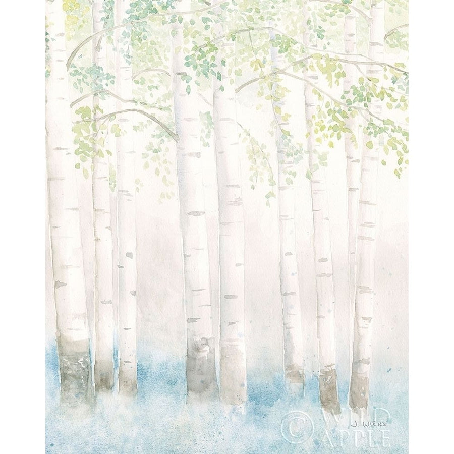 Soft Birches III Poster Print by James Wiens-VARPDX61033 Image 1