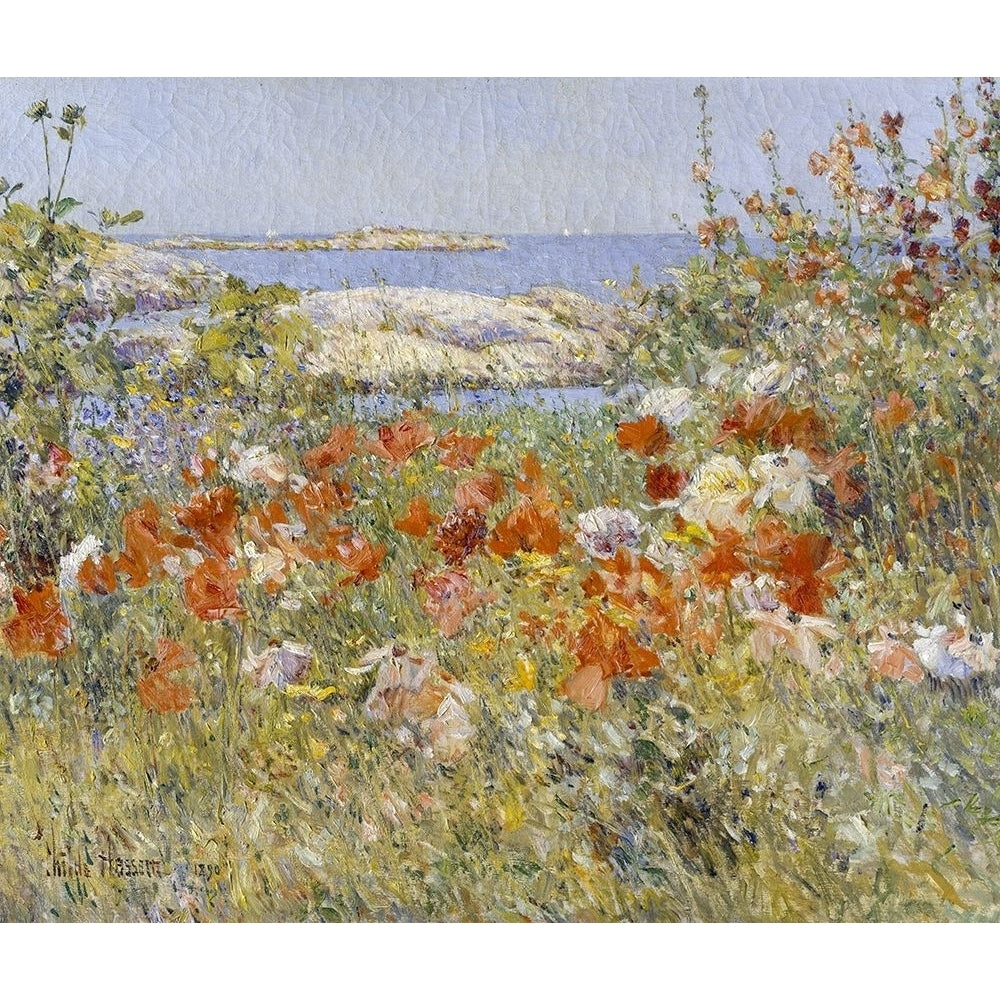 Celia Thaxters Garden by Childe Hassam-VARPDX61149 Image 1