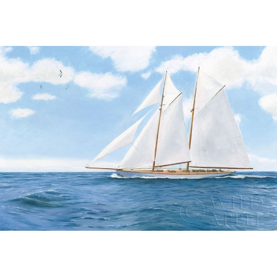 Majestic Sailboat White Sails Poster Print by James Wiens-VARPDX61168 Image 1