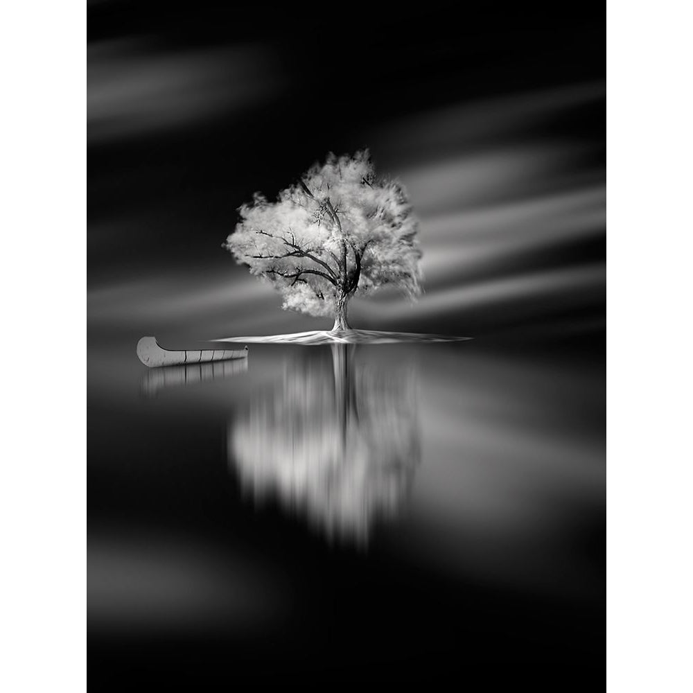 Quiet Poster Print - David Senechal Photographie-VARPDX611744 Image 1